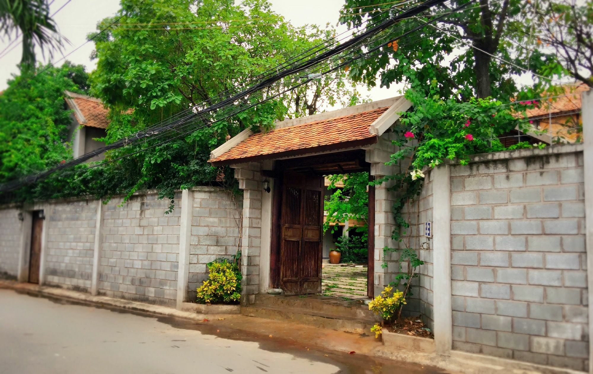 The An Homestay TP. Hồ Chí Minh Ngoại thất bức ảnh