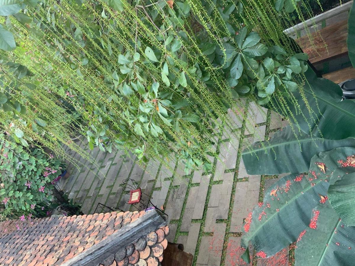 The An Homestay TP. Hồ Chí Minh Ngoại thất bức ảnh